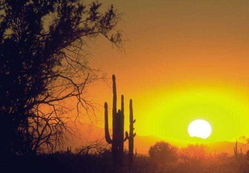 Courtyard By Marriott Phoenix North Bagian luar foto