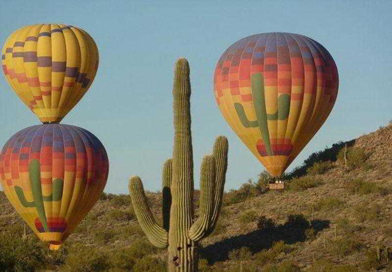 Courtyard By Marriott Phoenix North Bagian luar foto